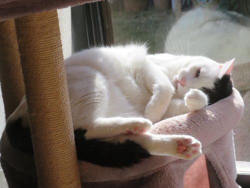 ����������