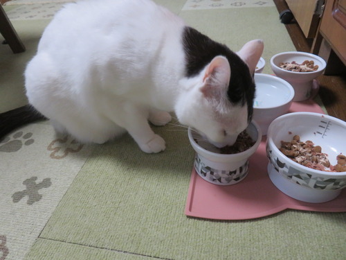 ���ޥ���