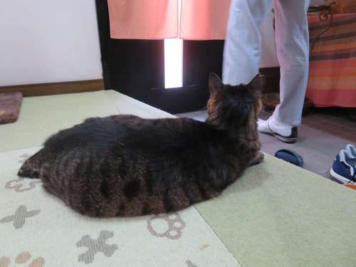行ってらっしゃ〜い