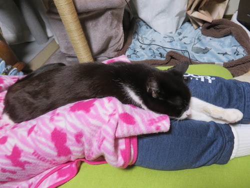 ���å�����