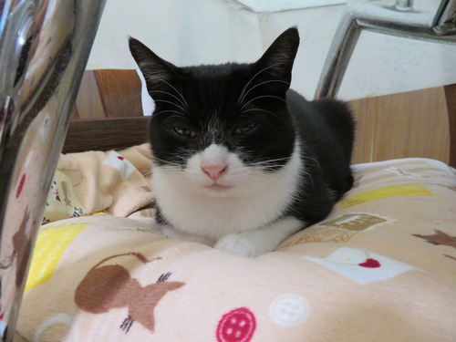 眠くなった