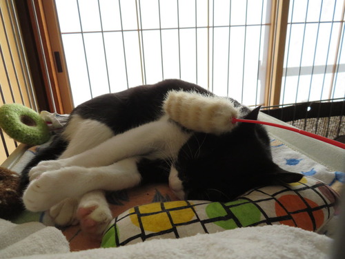 2019ǯ1030ҳŤ٥饷ǤʤǤʤ