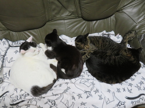 �ߤ�˥�·��