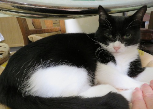 2019ǯ1216åơ֥벼ˤ