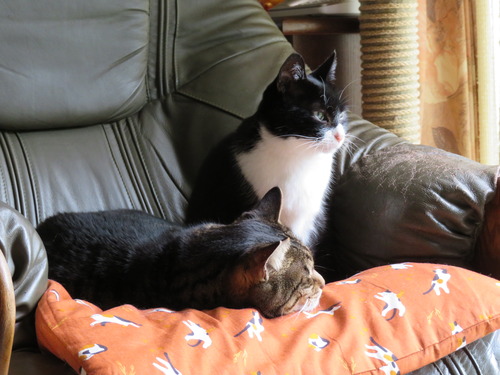 2020ǯ525ɤʤʤߡɤɤ롩