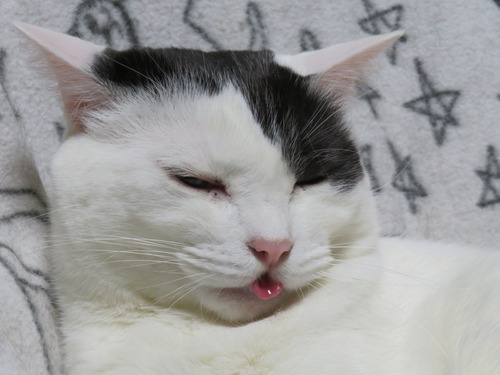 んッ
