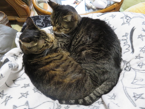 なな&たく