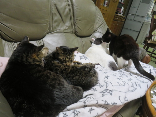 �������