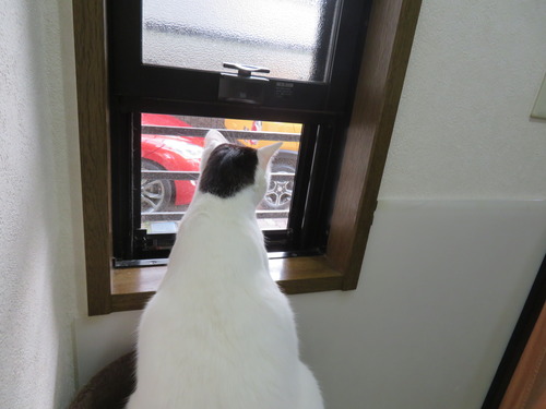 帰って来た