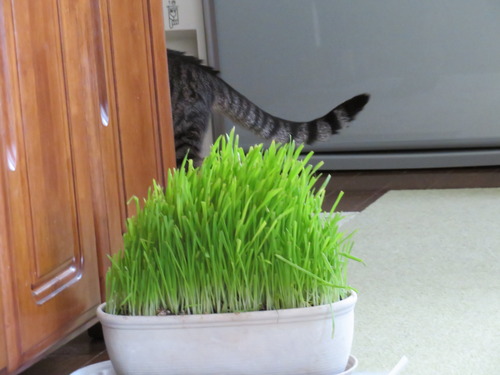 行っちゃうよ