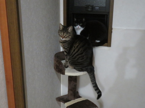 なな&うみ