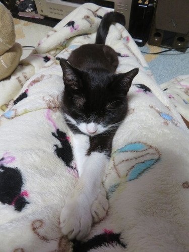 ­�δ֤ˡɤ��ߡ�