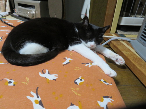 リラックス寝