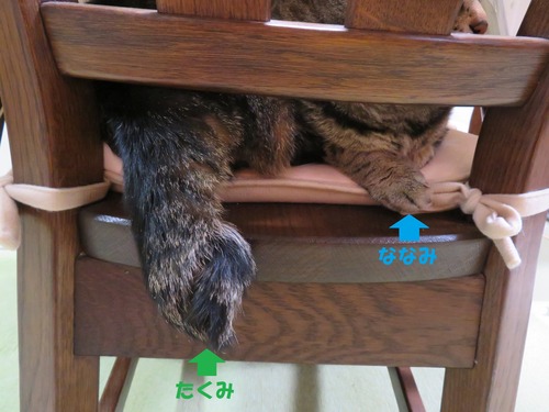 たくみと