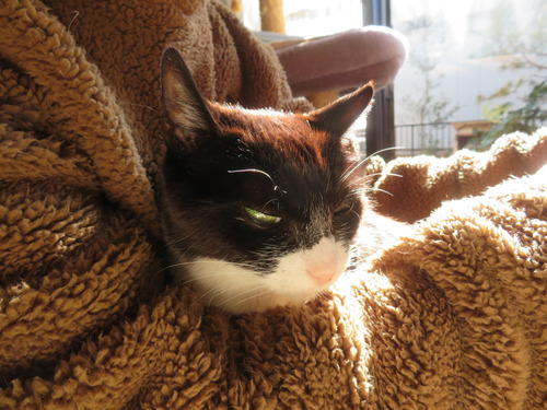 ������������ä�