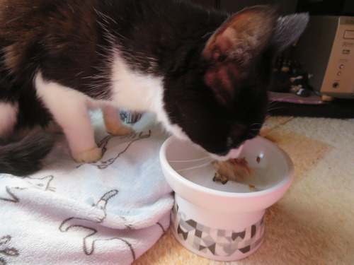 ���٤���