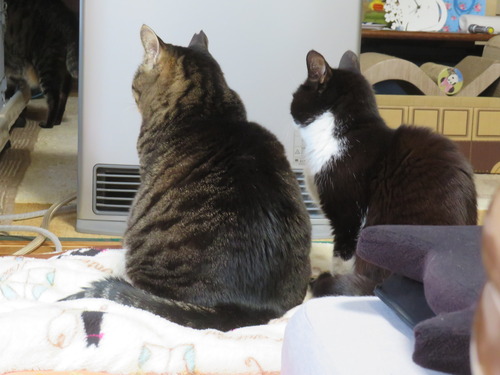 �ʤʡ�����