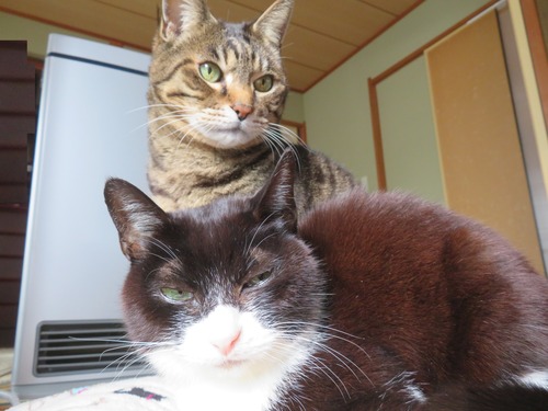 �ɤʤʡ����ߡ�