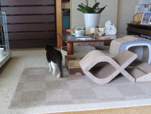 押し入れの中へ