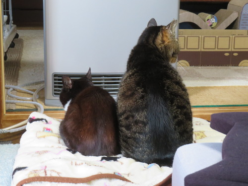 �ʤʡ�����