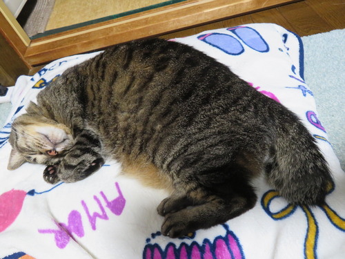 もう〜、可愛いんだから〜