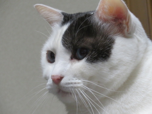 �ɤ����ɤ�