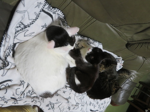 ���������