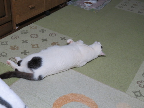 目線の先に
