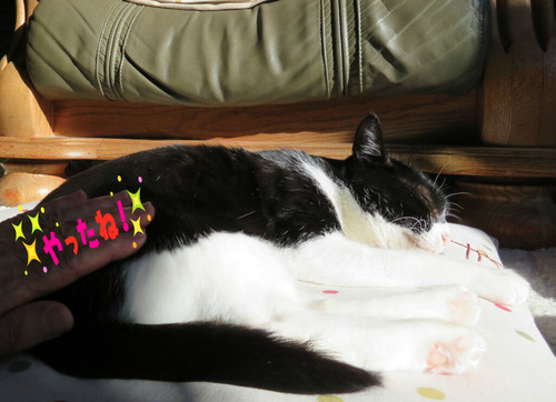 2019ǯ1228ʤǤʤǤä