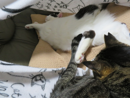 2かい