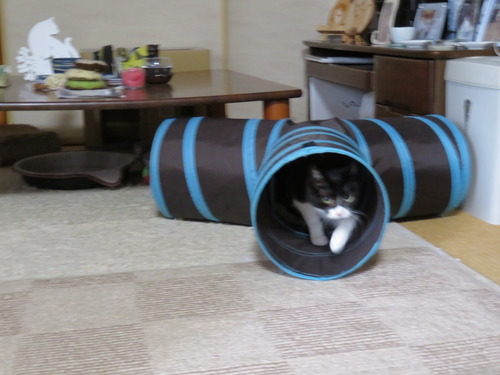 一人遊び