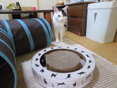 なんか
