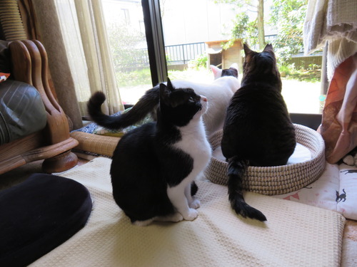 また見ていますね