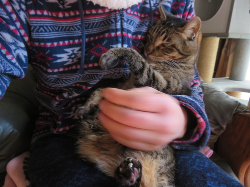  �ɤ����ߡ����ڤ�