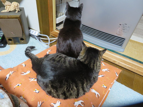 ななみの傍に