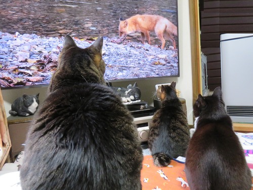 2023ǯ1224ʤʡߡ֤䤫ɴʡ