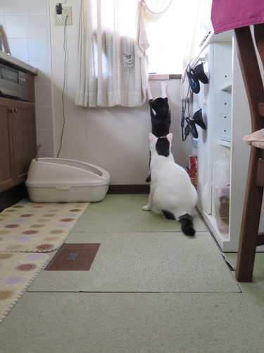 2020ǯ1026դΤʤʤߤˡ˥ˤƤΡ