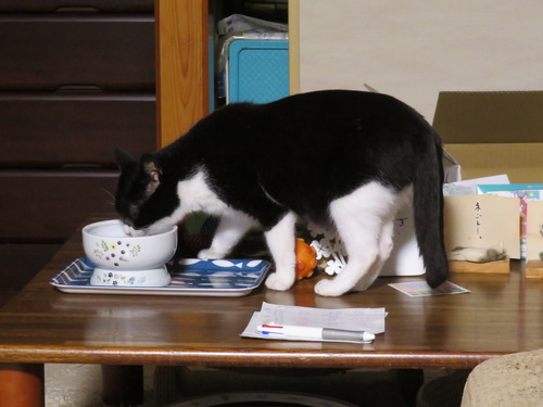 2022ǯ720Ϥƥơ֥ξο