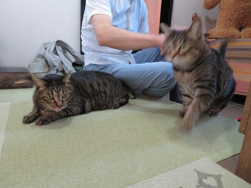 父ちゃんの傍に