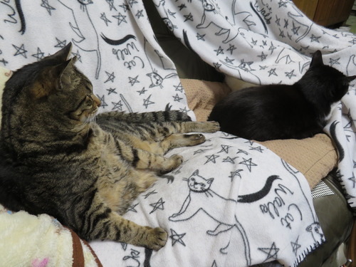 なだめて