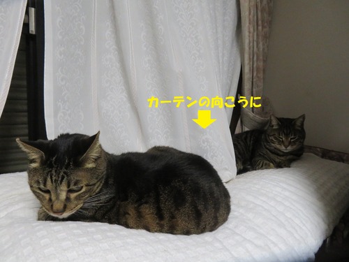 2階の窓辺