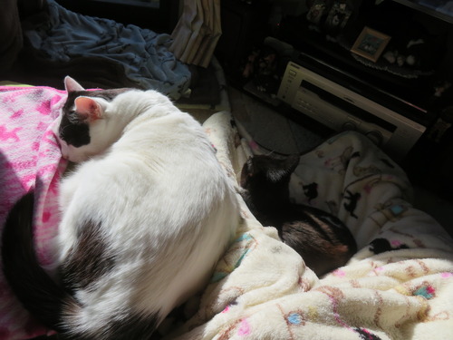 ����������