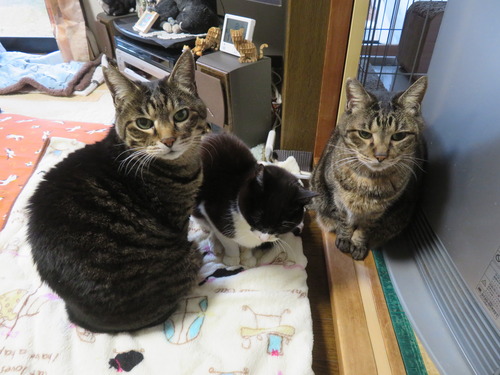 �ʤʡ����ߡ�����