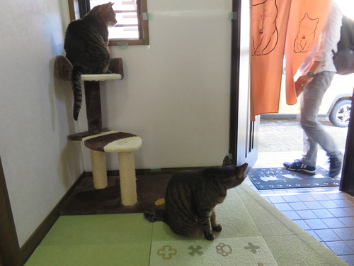 玄関外へ