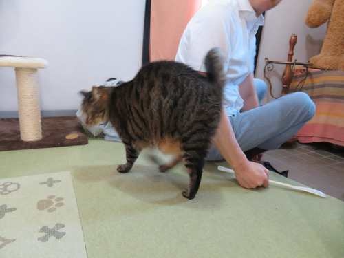 スリスリして
