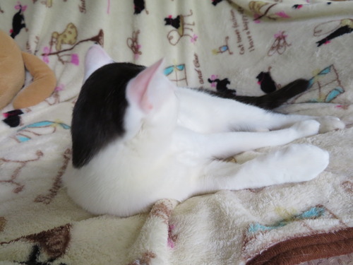 お母ちゃんの横