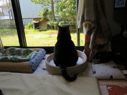 ななみ