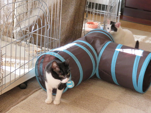 2019ǯ1110ɤɤȡɤߡɥȥͥͷ