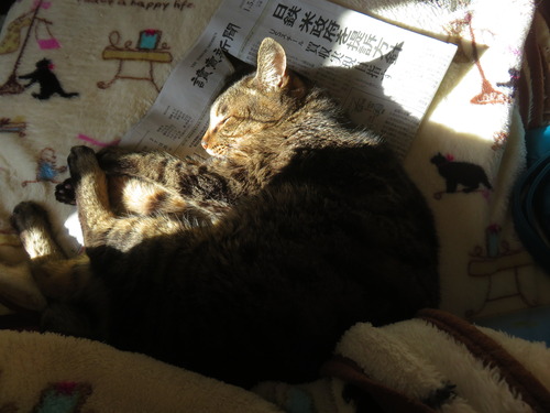 �����㤤�ޤ���