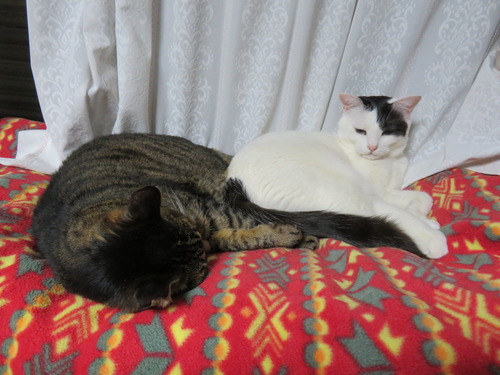 ”たく&かい”